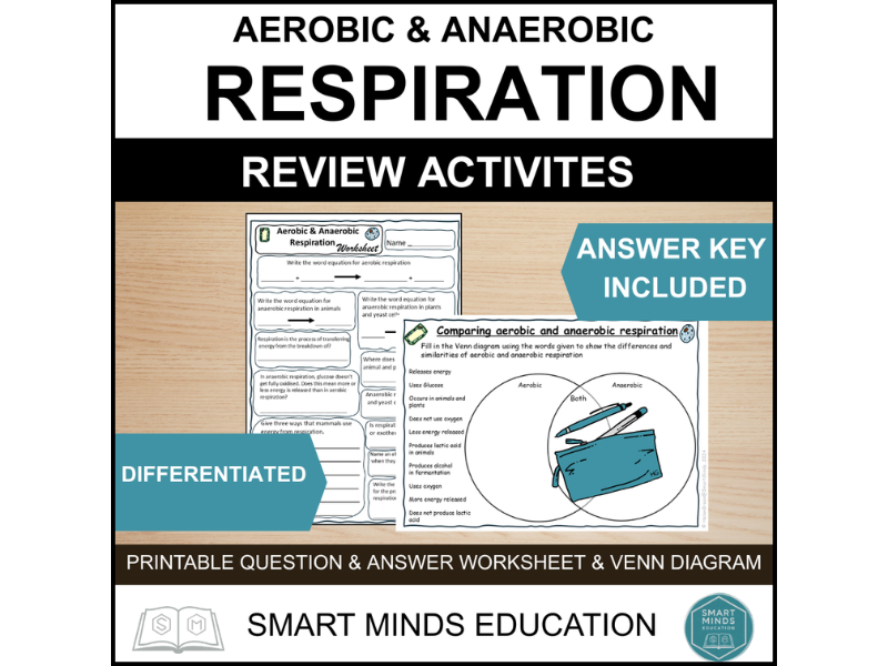 CELLULAR RESPIRATION - AEROBIC & ANAEROBIC RESPIRATION REVIEW ACTIVITY WORKSHEET & VENN DIAGRAM