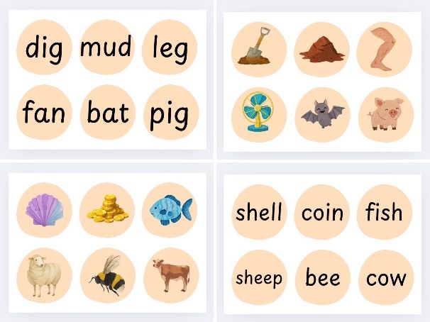 Phase 2 and 3 picture and word discs