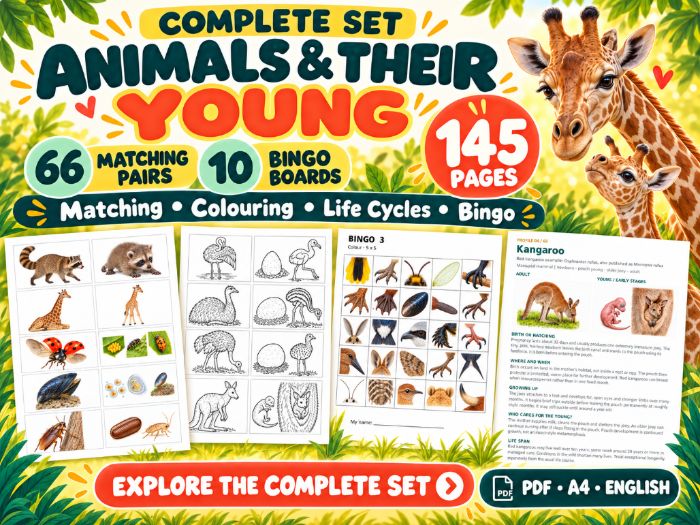 Animals and Their Young — Cards, Coloring Cards and Bingo