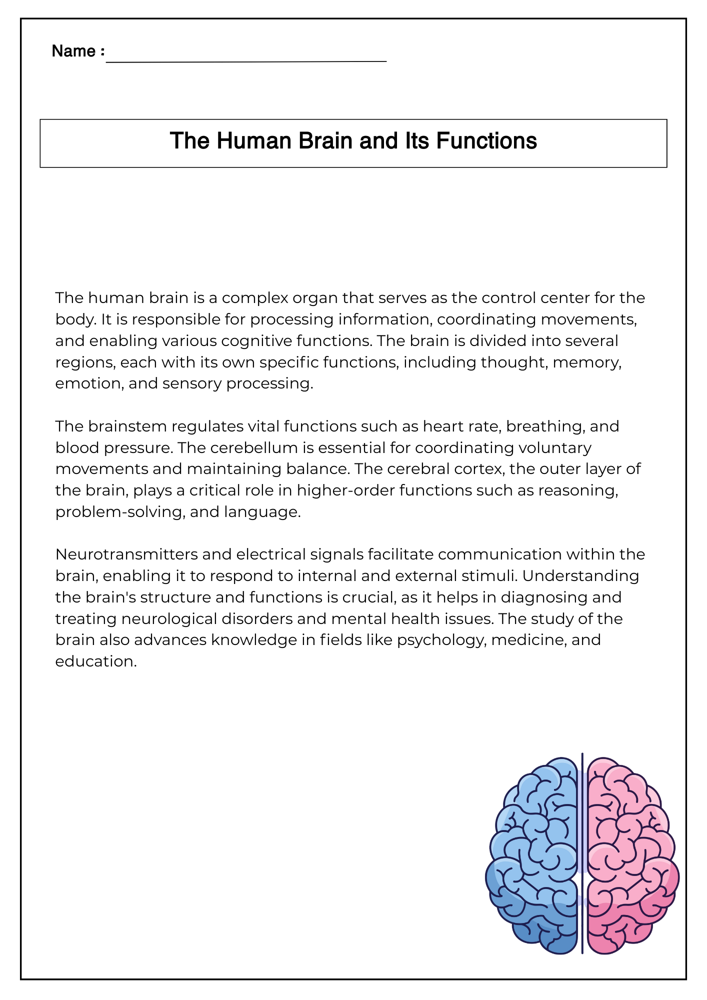 Enhance your students’ understanding of the human brain with this ...