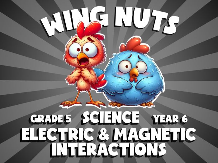 Electric & Magnetic Interactions WING NUTS Science Game | No-Prep Year 6 Review Activity