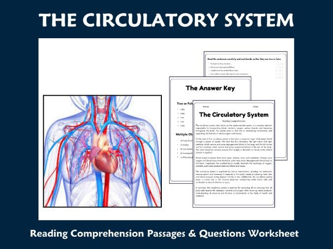 Science : Reading Comprehension Passages & Questions Worksheets Bundle1 ...