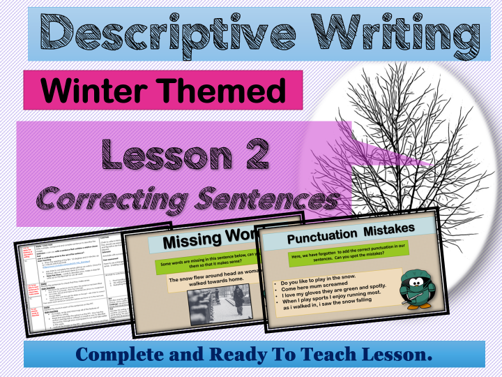 Descriptive Writing (Winter) Lesson 2 -Correcting sentences