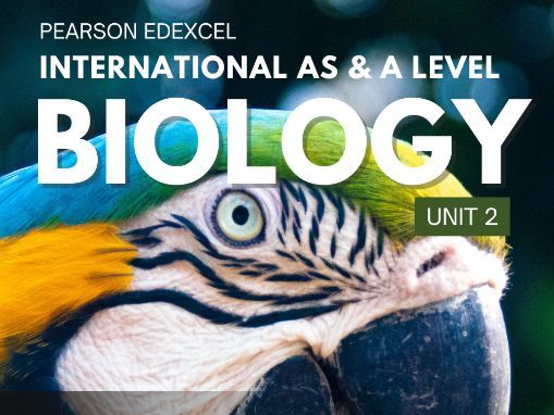Pearson Edexcel IAL Biology Unit 2 WBI12/01 Master Revision Guide I Past Paper Analysis 2019-2025
