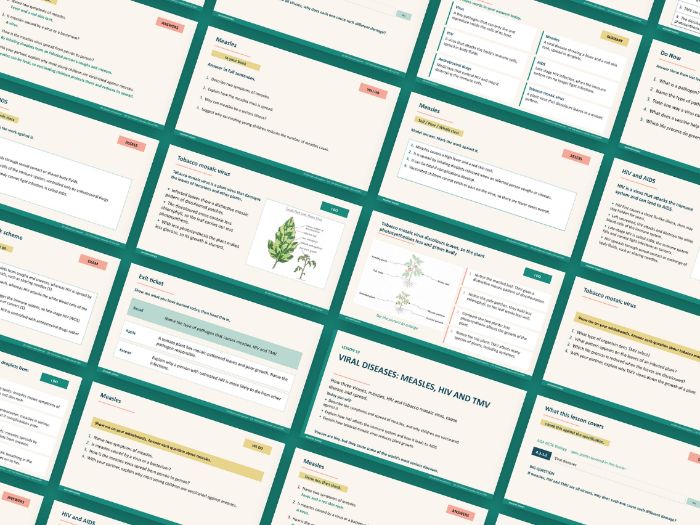 AQA GCSE Biology B3 Infection and Response | 10 Lesson Presentations and Topic Test