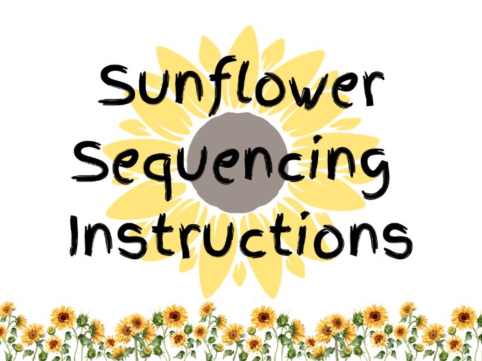 Sunflower Sequencing Instructions Activity