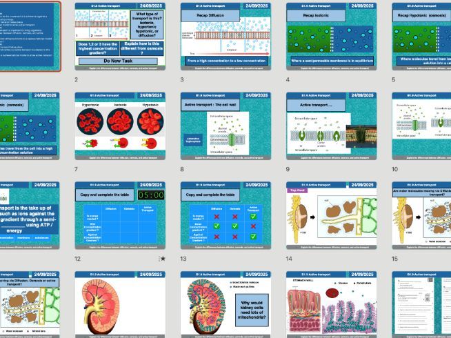 AQA GCSE Biology B1.9 – Active Transport | Full Lesson, Worksheets & Answers (Editable)