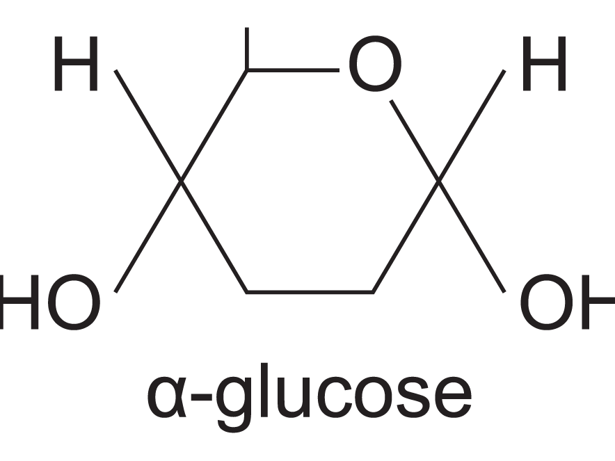 AQA AS Biological Molecules and Nucleic Acids