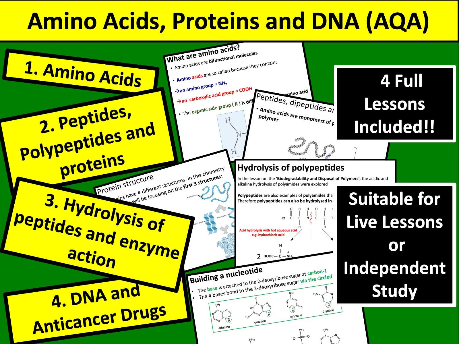 Amino Acids, Proteins and DNA (AQA)
