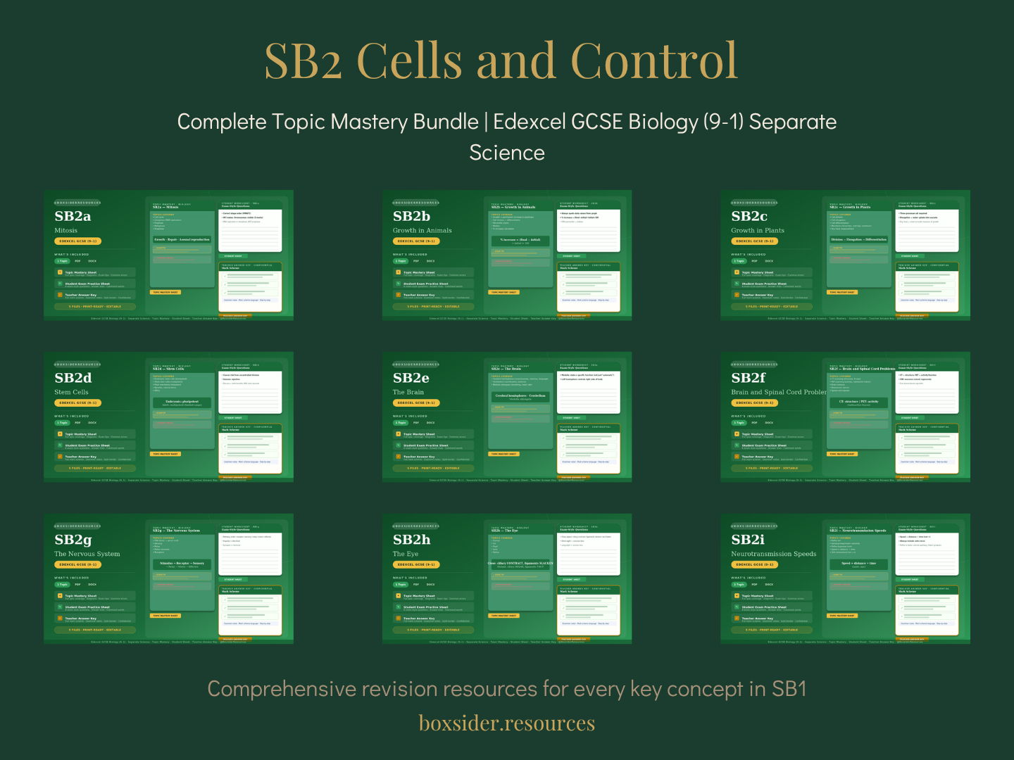 SB2 Cells and Control | Complete Topic Mastery Bundle | Edexcel GCSE Biology (9–1) Separate Science