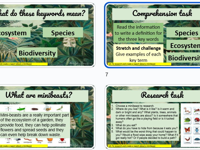 Biodiversity Project bundle (9 lessons) KS3 Science