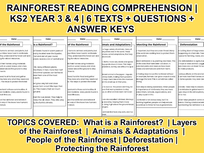 Rainforest Reading Comprehension | KS2 Year 3 & 4 | 6 Texts + Questions + Answer Keys