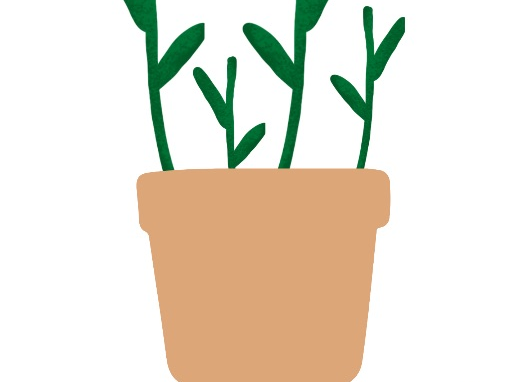 Number flower pots