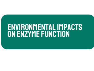 AP Biology Unit 3: Environmental Impacts on Enzymes Function