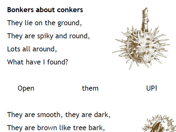 Conkers poem. Key Stage 1 Reading