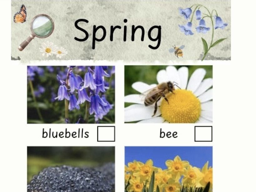 Seasonal Spotter Sheets