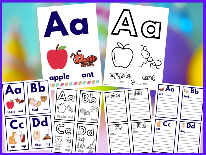 Alphabet Anchor Charts Flash Cards And Personal Student Spelling 