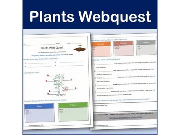 Plants Webquest | Editable Digital Science Activity