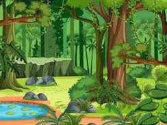 The Great Kapok Tree Guided Reading