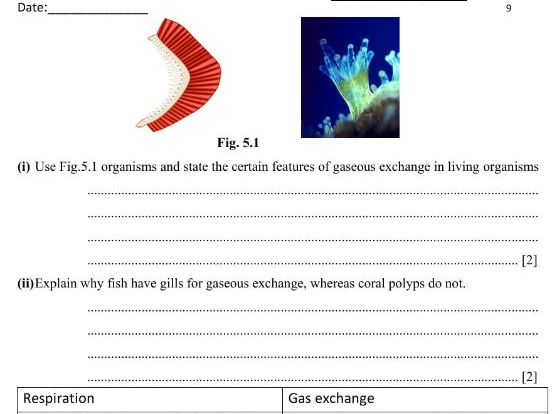 Cambridge IGCSE Marine Science 0697,Chapter 4 Nutrients