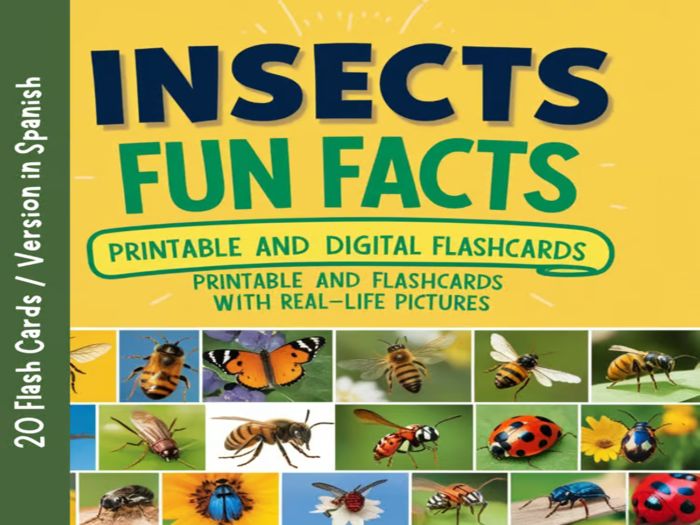 Insects Fun Facts: Printable and Digital Flashcards with Real-Life Picture Version in Spanish