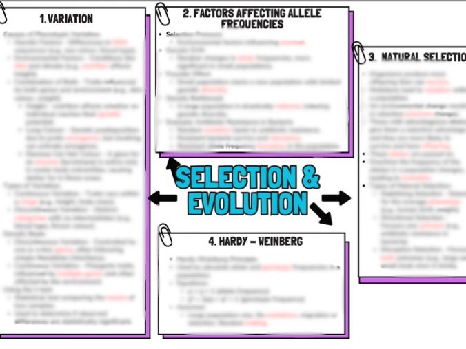 A-Level Biology Topic 17: Selection & Evolution Mind-map/ knowledge organiser