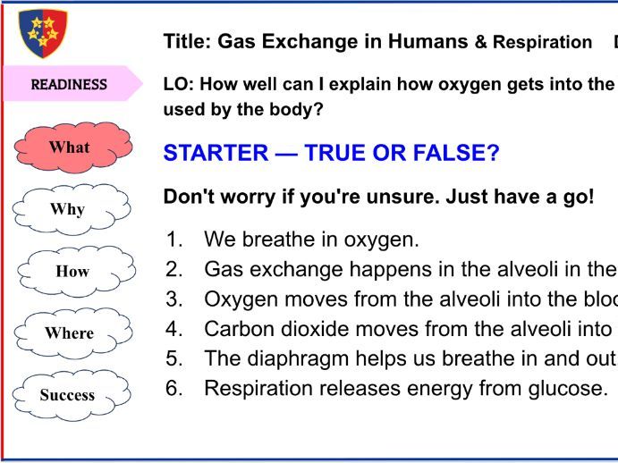 Gas Exchange and Respiration