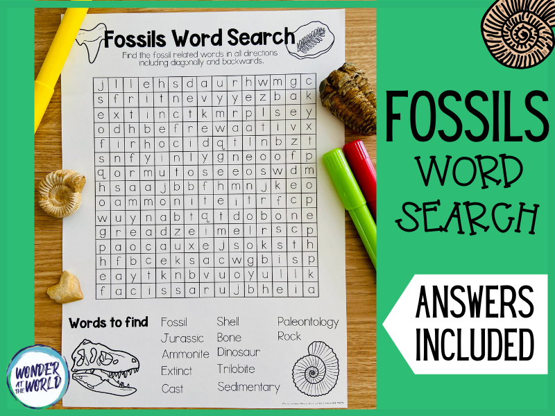 Fossils theme vocabulary word search KS2 Teaching Resources