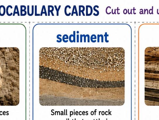 How are fossils formed and Mary Anning