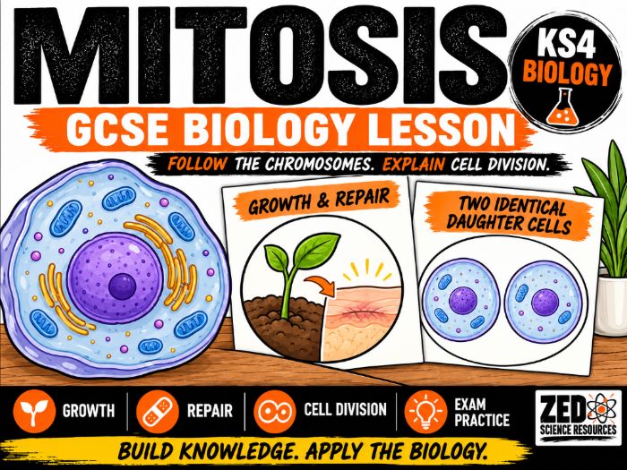 GCSE Biology: Mitosis Lesson – Cell Division, Growth and Repair | KS4