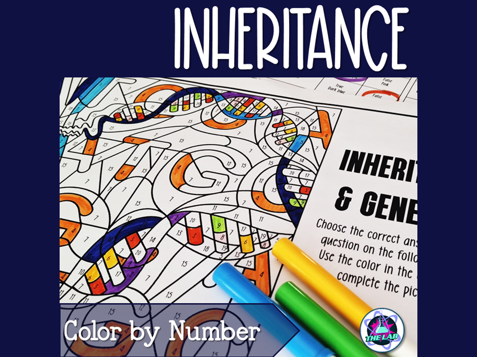 Inheritance and Genetics Colour by Number
