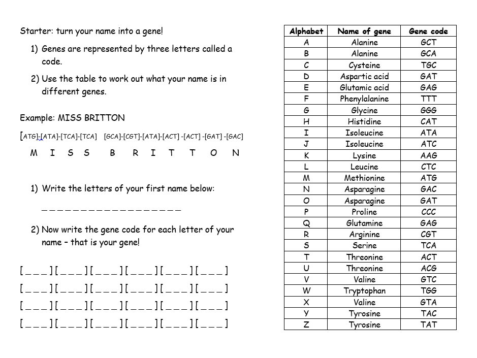 DNA structure starter/plenary activity