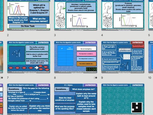 B3.6 How the Digestive System Works – Full Lesson Pack (AQA GCSE Biology & Combined Science) | Enzym