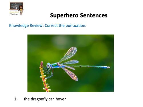 Superhero Sentences