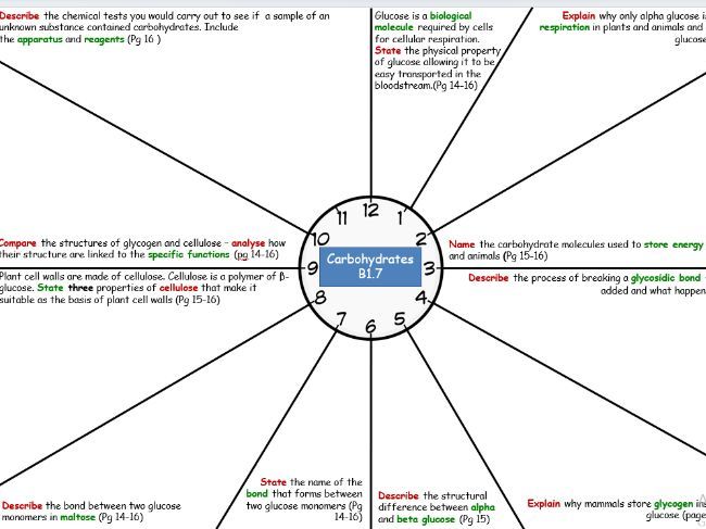 AAQ Biology Unit 1 Revision Clocks Biological Molecules Teaching 