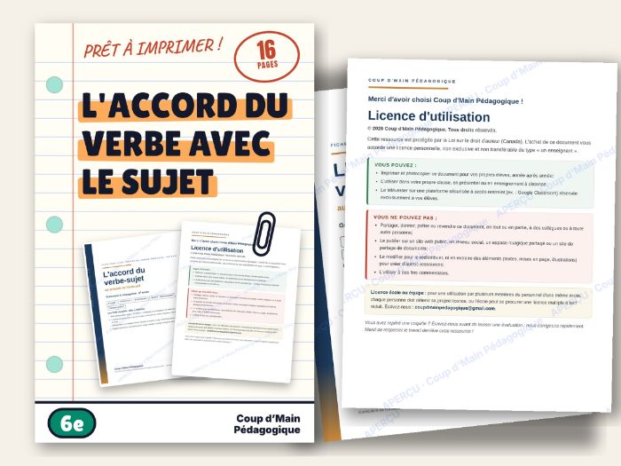 French Subject-Verb Agreement Present Tense Grade 6 | L'accord du verbe
