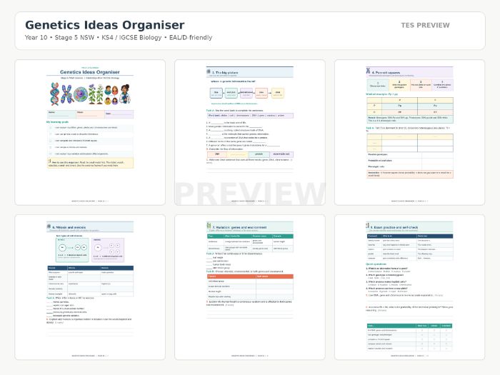 Genetics Revision Workbook | KS4, IGCSE & Australian Stage 5 | EALD Friendly