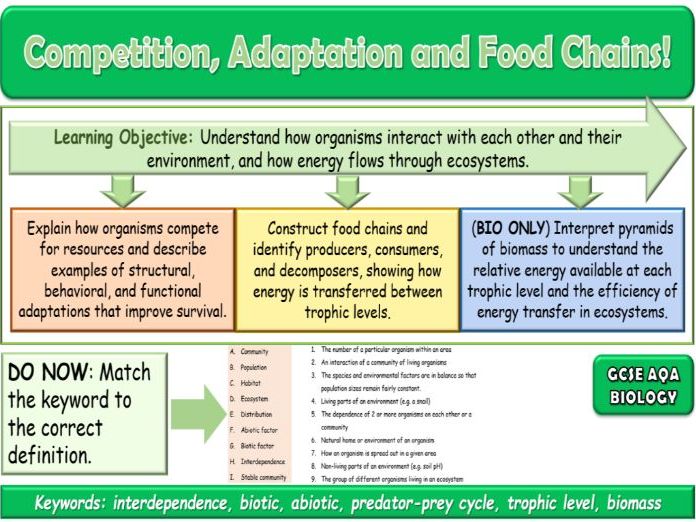 Competition, Adaptation and Food Chains AQA GCSE (9-1) Biology