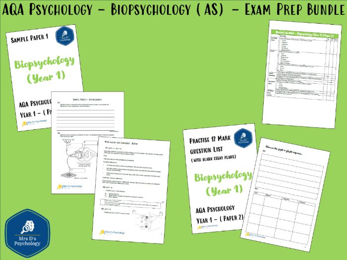 Biopsychology (AS) - Exam Preparation / Revision Materials (New Spec - A Level Exams 2027)