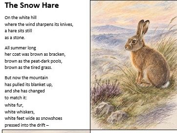 Y6 Reading Rehearsal: Autumn 2 ( 7 Texts & 7 sets of SATs style questions)
