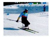 Para Cross-country Skiing