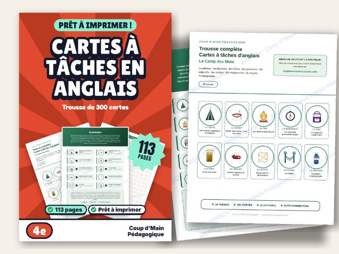 ESL Task Cards Grade 4 English Grammar for French Speakers | Le Camp des Mots