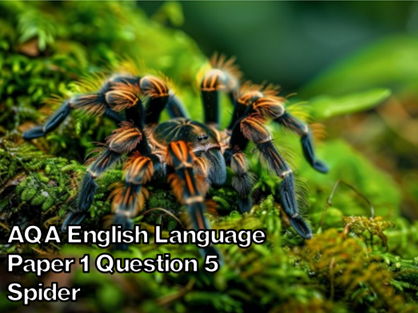 AQA English Language Paper 1 Section B - Spider Description