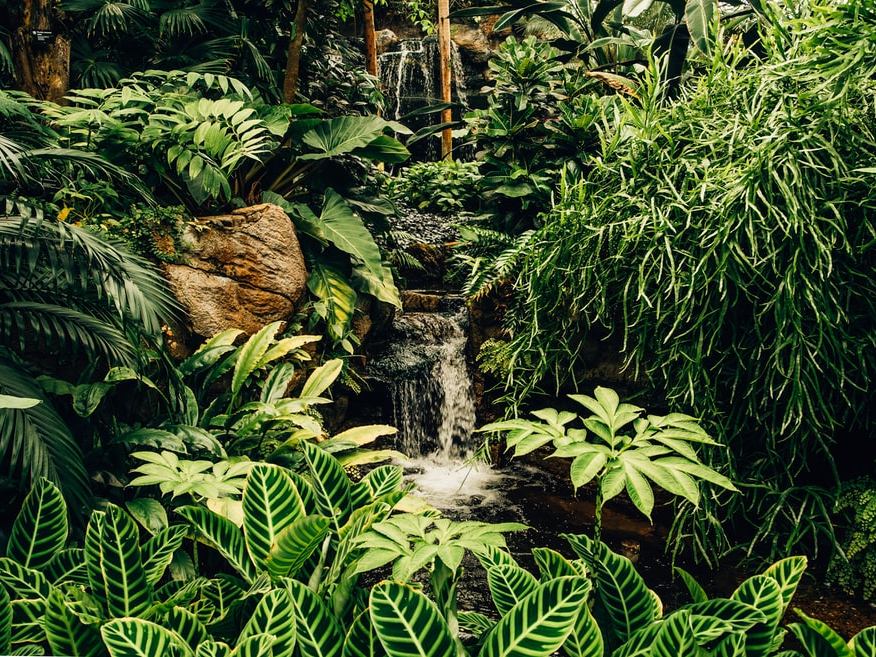 AQA GCSE Geography: The Living World (Lessons, Revision Guide and Homework)