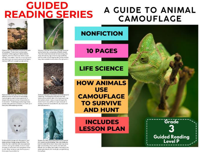 Guided Reading Level P - Animal Camouflage (with Lesson Plan)