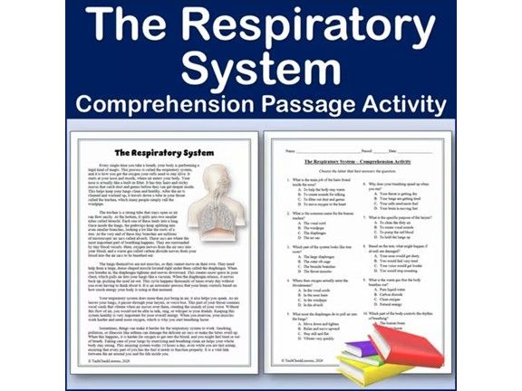 The Respiratory System - Biology Reading Comp Passage & Activity | Editable
