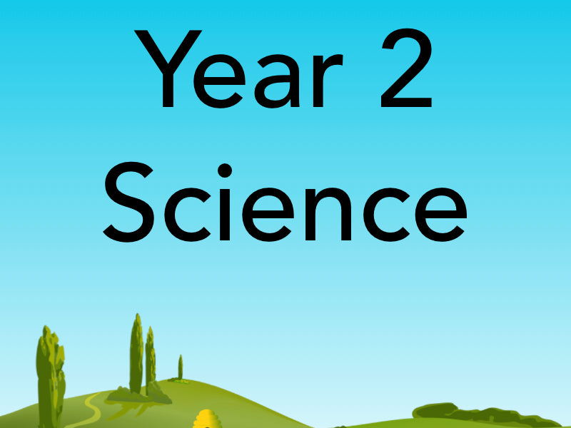 Year 2 Science Worksheet Bundle