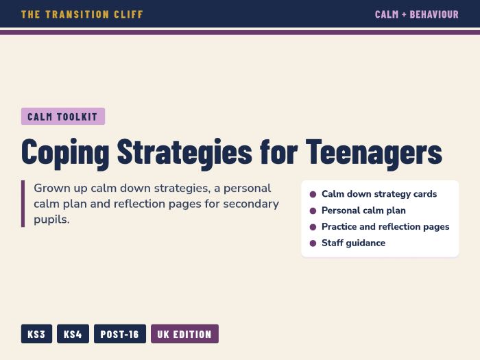 Coping Strategies for Teenagers: Calm Down Cards, Plans and Reflection for SEND and SEMH