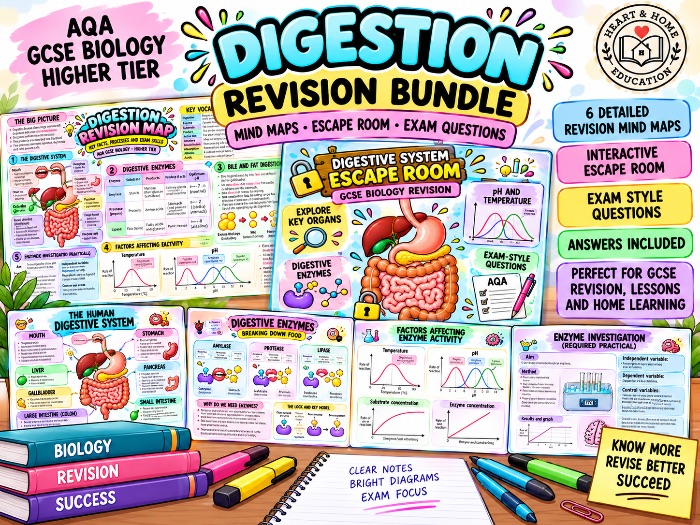 AQA GCSE Biology Digestion Revision Bundle