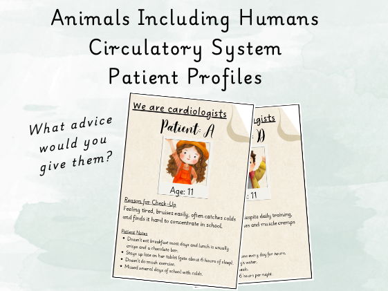 Y6 Circulatory System - Healthy Lifestyle Patient Cards